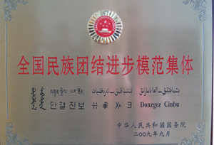 全国民族团结进步模范集体200909